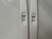 DD5E1DB2-662E-4B7B-92EE-AD97F7209592.jpeg