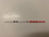 FEB763BB-1C0F-465E-9796-B0FE34CF1E29.jpeg