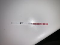 8D71F559-34BF-4B86-9782-DA5DF6C4E8DB.jpeg