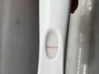 E8416E3B-C320-4432-9652-A53CF2E17B7E.jpeg
