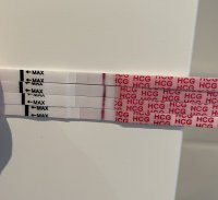 750A36CA-DEDD-4D3F-8CCD-AB46C0BC844E.jpeg