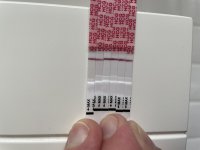 1EAF6261-99C2-4CD1-8BF1-024C69350F43.jpeg