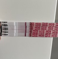 355A6348-FFCD-48C9-A4DF-324DFEE3E785.jpeg