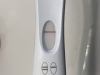 292003D8-4D19-4925-A87A-991BDF5B5147.jpeg