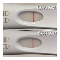 99EF9469-EDC0-4F21-8E7A-84B55511BA4F.jpeg