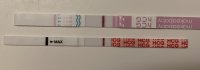 DA61E67B-D474-4212-AB21-C7BC73FFC16D.jpeg