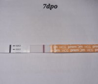 20220731_094933.jpg