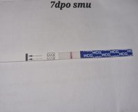 20220731_113151.jpg