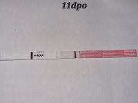 20220804_100041.jpg