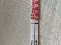 IMG_6726.jpeg