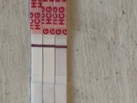 IMG_6739.jpeg