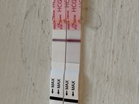 IMG_6741.jpeg