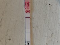 IMG_6742.jpeg