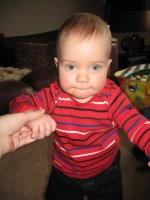 IMG_2809.jpg