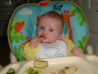 food1.jpg
