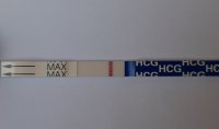 20220820_085911.jpg