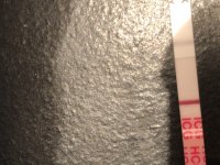 83446027-D1CF-4CAA-AF33-6F07E07FBBDC.jpeg