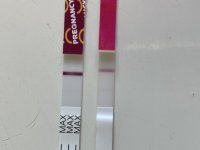EBC1D3F0-56CE-4B01-90F6-D75952CAD679.jpeg