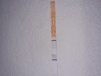 20220904_101901.jpg