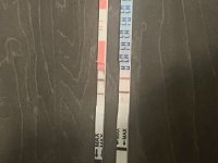 507B46B7-F62C-49CF-B230-F2AD3D4004F9.jpeg