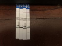 4054C027-BF96-49AF-8D1C-65B6675F9C32.jpeg