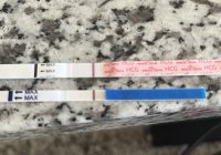 DCA966E2-3E78-42CA-9CB5-27EBBDDCD91E.jpeg