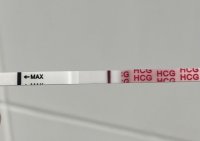 ED315881-D376-400B-B18C-7BB2FCA3D9D1.jpeg