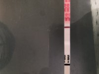 358FF30F-CD53-4AD7-A52E-D00A7E7A7924.jpeg