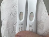 EC1CA690-F85F-4F14-BD32-8E2EA3D8FD5E.jpeg