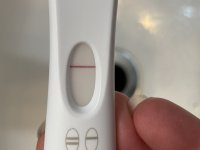 66F4EA1D-FDEC-40F5-B5EC-6B824FE3D94D.jpeg