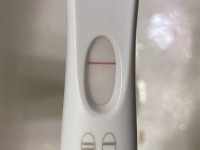 0CAC3968-EF26-45E1-914A-8E6DDB1B0CA7.jpeg