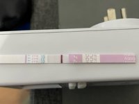 10dpo.jpg