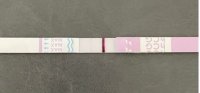 10dpo1.JPG