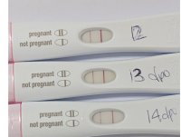 progressionfrer12-14.JPG