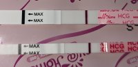 PXL_20230210_153359362~2.jpg