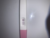 226267B9-1632-46AD-A0DE-671208ACC300.jpeg