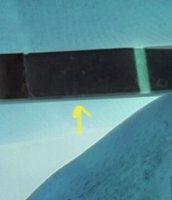 3659C9D9-0607-49D0-A925-6D873CAB16D5.jpeg