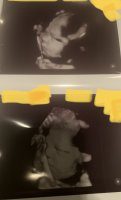 8E4F20D4-46BF-4D79-986A-F667A036E8F9.jpeg