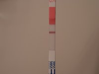 20230501_205216.jpg