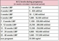 hCG-levels.jpg