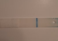 20230503_113651.jpg