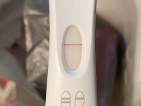 IMG_6172.jpeg