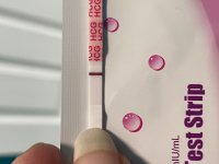 IMG_6184.jpeg