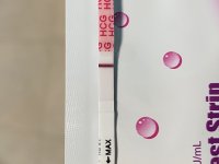 IMG_6206.jpeg