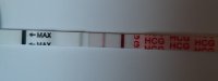 20230509_104458.jpg