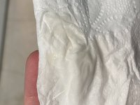 IMG_6252.jpeg