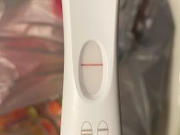 IMG_6308.jpeg