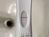 IMG_6311.jpeg