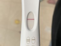 IMG_6495.jpeg