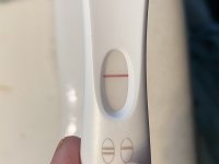 IMG_6501.jpeg